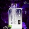 SP2S GEM 拋棄式 9000口 與其他款式比較用圖片