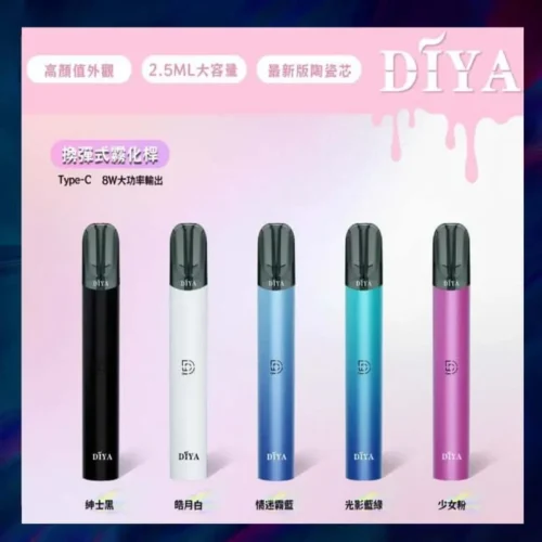 1736763187813 DIYA叮亞一代主機